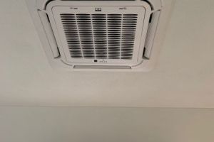 IMG_3216.jpg
